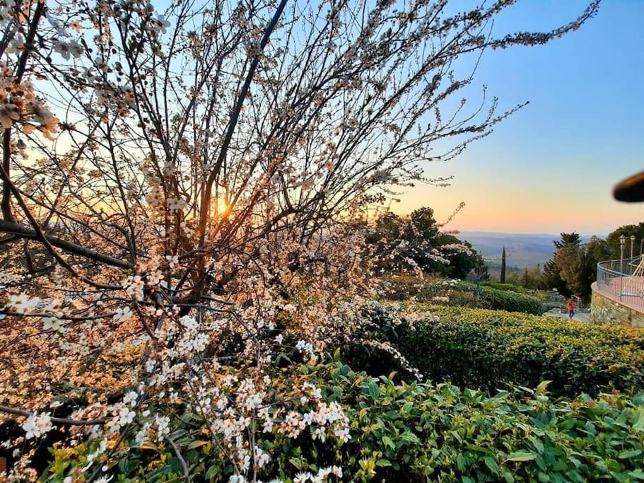 Villa Tutti I Colori Del Chianti Linari ภายนอก รูปภาพ