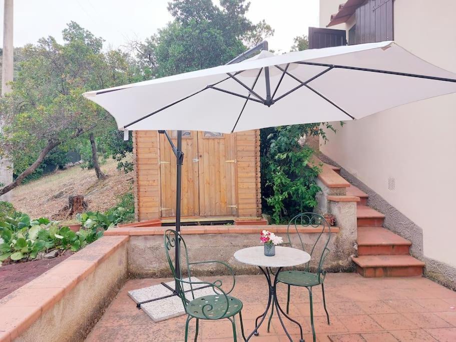 Villa Tutti I Colori Del Chianti Linari ภายนอก รูปภาพ